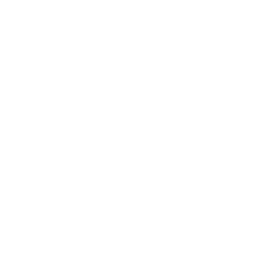 Fingerprint Watermark